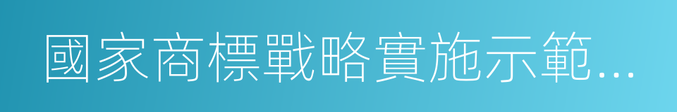 國家商標戰略實施示範城市的同義詞