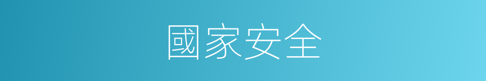 國家安全的意思