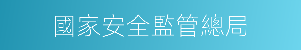 國家安全監管總局的同義詞