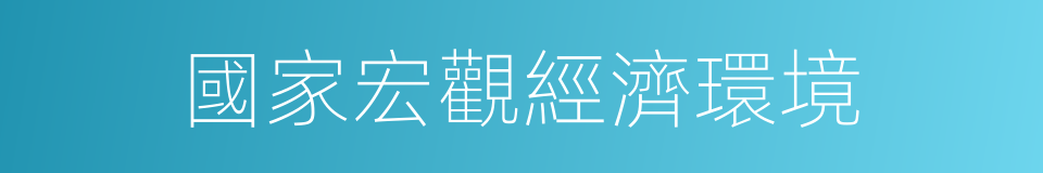 國家宏觀經濟環境的同義詞