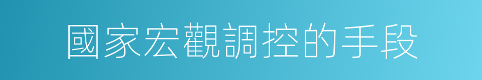 國家宏觀調控的手段的同義詞