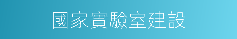 國家實驗室建設的同義詞