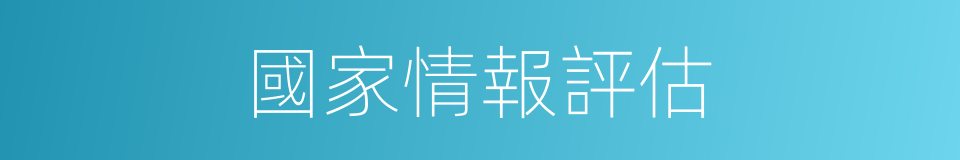 國家情報評估的同義詞