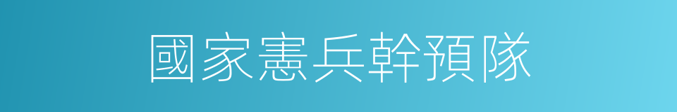 國家憲兵幹預隊的同義詞