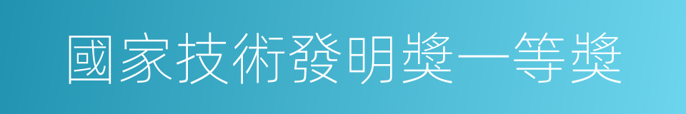 國家技術發明獎一等獎的同義詞