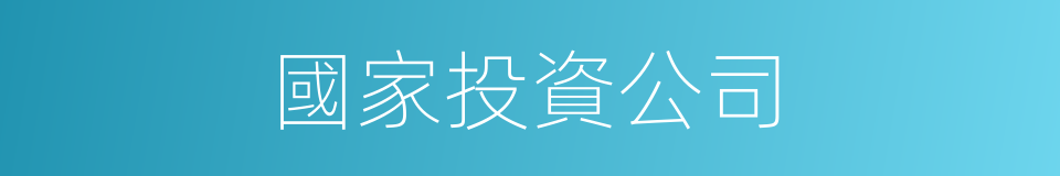 國家投資公司的同義詞