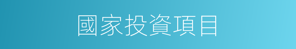 國家投資項目的同義詞