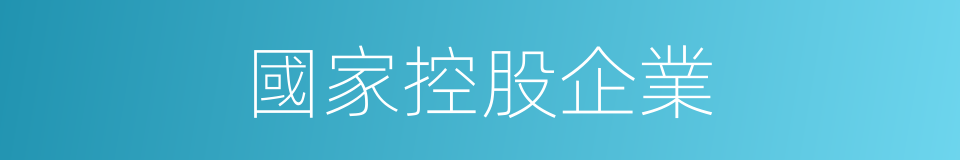 國家控股企業的同義詞