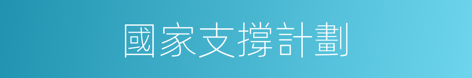 國家支撐計劃的同義詞