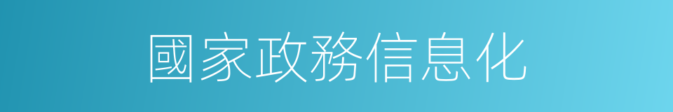 國家政務信息化的同義詞