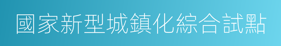 國家新型城鎮化綜合試點的同義詞