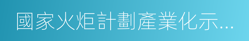 國家火炬計劃產業化示範項目的同義詞