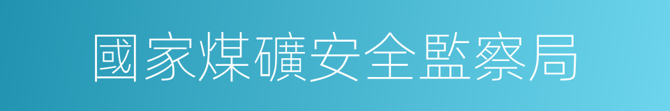 國家煤礦安全監察局的同義詞