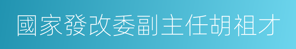 國家發改委副主任胡祖才的同義詞