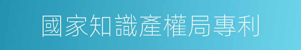 國家知識產權局專利的同義詞