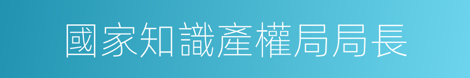 國家知識產權局局長的同義詞