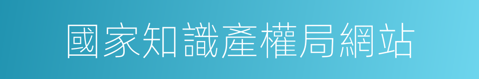 國家知識產權局網站的同義詞