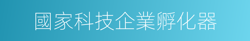 國家科技企業孵化器的同義詞