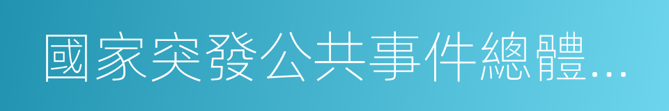 國家突發公共事件總體應急預案的同義詞