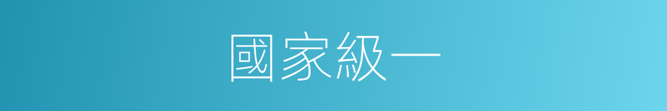 國家級一的同義詞