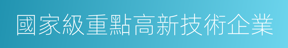 國家級重點高新技術企業的同義詞