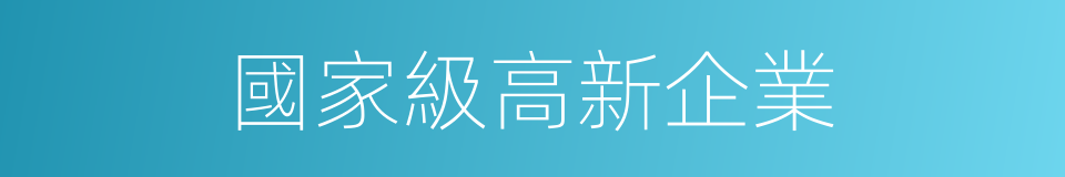 國家級高新企業的同義詞