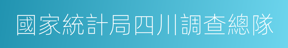 國家統計局四川調查總隊的同義詞