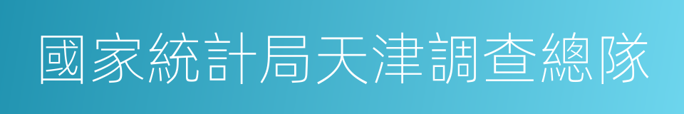 國家統計局天津調查總隊的同義詞