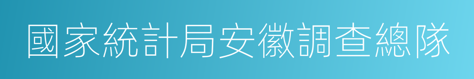 國家統計局安徽調查總隊的同義詞