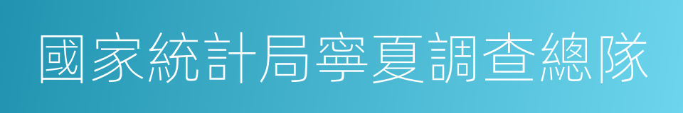 國家統計局寧夏調查總隊的同義詞