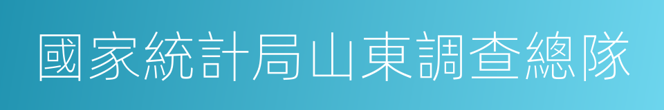 國家統計局山東調查總隊的同義詞