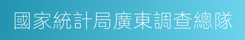 國家統計局廣東調查總隊的同義詞