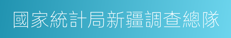 國家統計局新疆調查總隊的同義詞