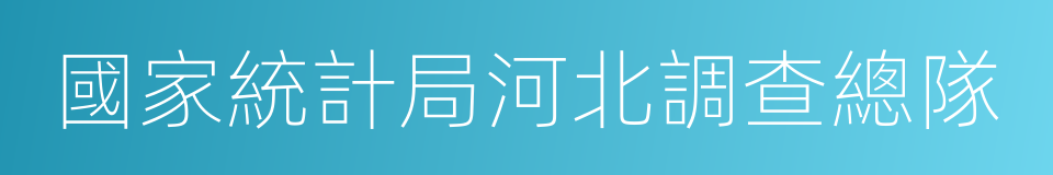 國家統計局河北調查總隊的同義詞