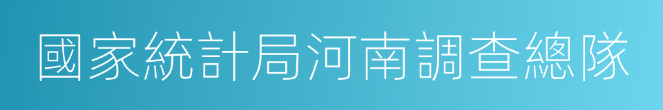 國家統計局河南調查總隊的同義詞