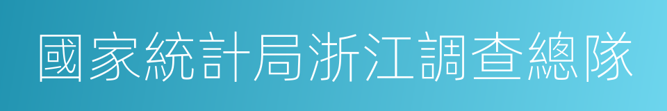 國家統計局浙江調查總隊的同義詞