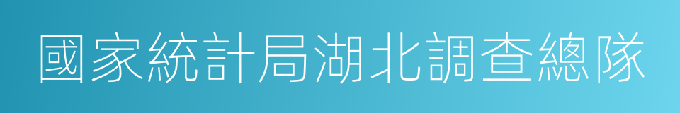 國家統計局湖北調查總隊的同義詞