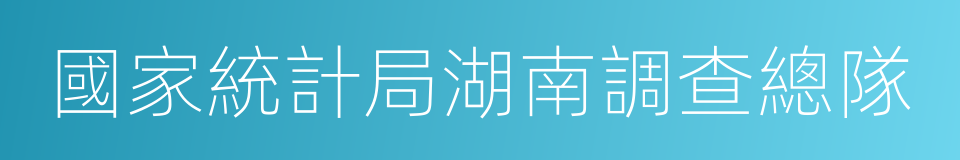 國家統計局湖南調查總隊的同義詞