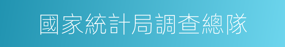 國家統計局調查總隊的同義詞