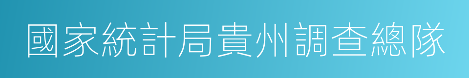 國家統計局貴州調查總隊的同義詞