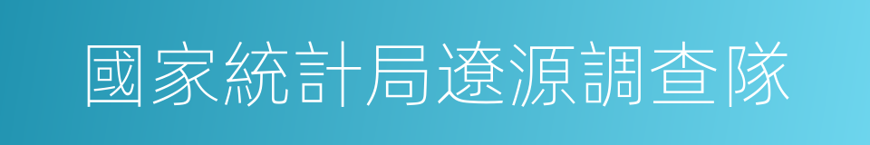 國家統計局遼源調查隊的同義詞