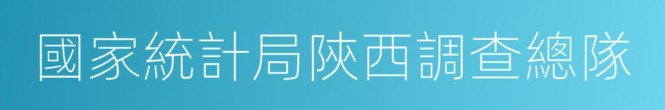 國家統計局陝西調查總隊的同義詞