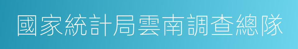 國家統計局雲南調查總隊的同義詞