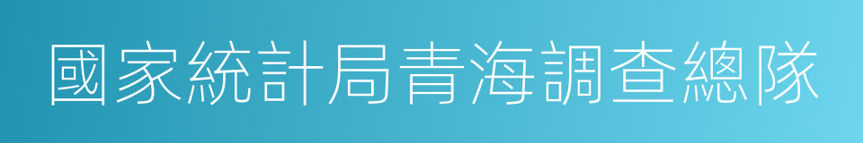 國家統計局青海調查總隊的同義詞