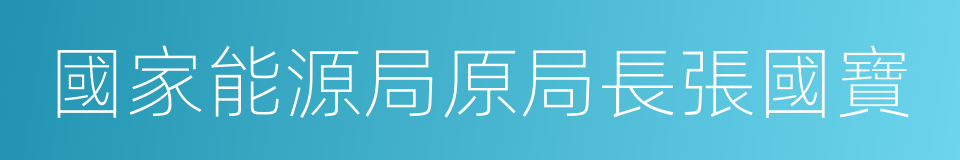 國家能源局原局長張國寶的同義詞