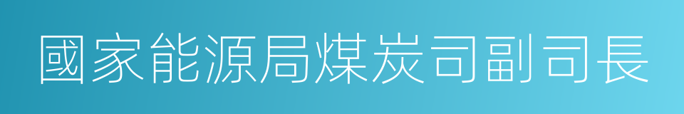 國家能源局煤炭司副司長的同義詞