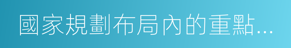 國家規劃布局內的重點軟件企業的同義詞