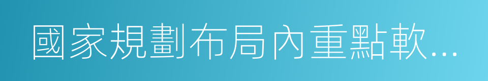 國家規劃布局內重點軟件企業的同義詞