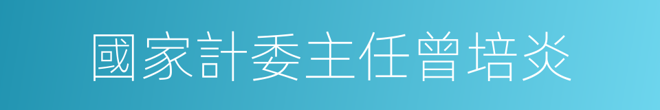 國家計委主任曾培炎的同義詞