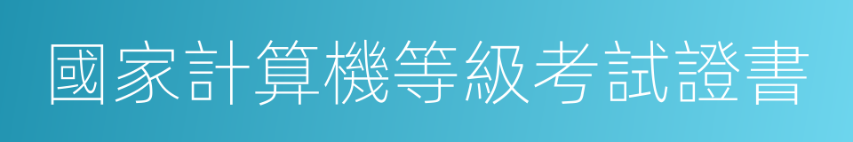 國家計算機等級考試證書的同義詞